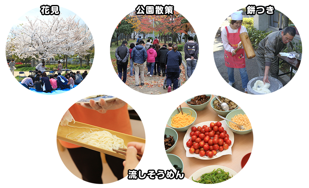 マイセル内観